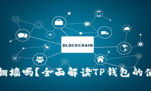 玩TP钱包需要翻墙吗？全面解读TP钱包的使用与网络安全