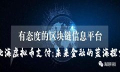 北海虚拟币支付：未来金融的蓝海探索
