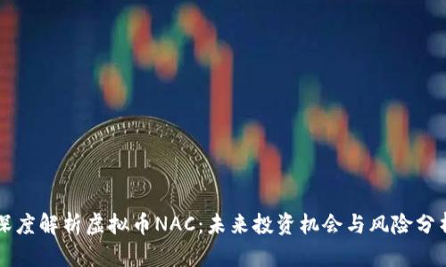 深度解析虚拟币NAC：未来投资机会与风险分析