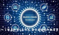 深入了解虚拟币U盘钱包：安全存储你