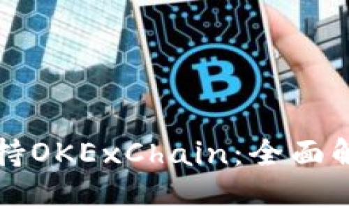 TP钱包如何支持OKExChain：全面解读及使用指南