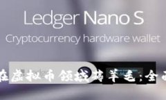 如何在虚拟币领域薅羊毛：全面指南