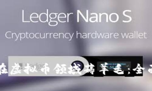 如何在虚拟币领域薅羊毛：全面指南