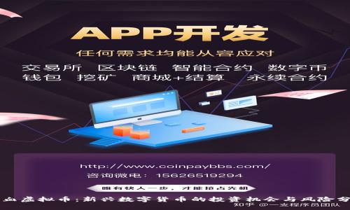 一血虚拟币：新兴数字货币的投资机会与风险分析