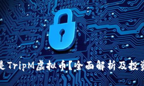 什么是TripM虚拟币？全面解析及投资前景
