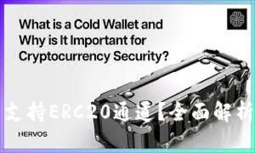 TP钱包是否支持ERC20通道？全面解析与使用指南