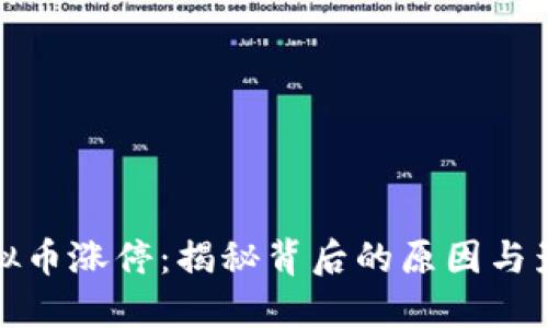 虚拟币涨停：揭秘背后的原因与影响
