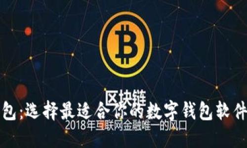 TP钱包：选择最适合你的数字钱包软件指南