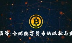 虚拟币国界：全球数字货币的现状与发