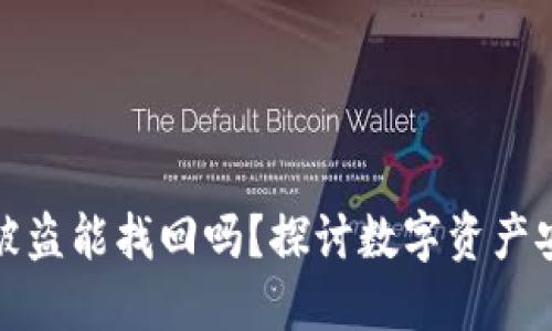 TP钱包里的币被盗能找回吗？探讨数字资产安全与找回机制