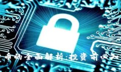 乳房币虚拟货币的全面解析：投资前必