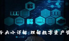 TP钱包池子大小详解：理解数字资产管